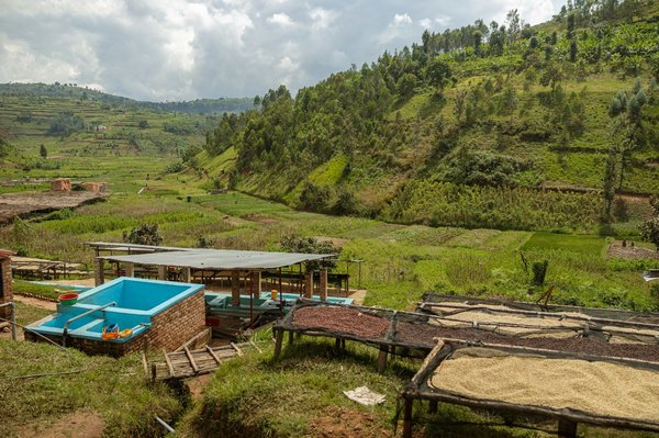 Comment créer un sentier de jardin en utilisant des matériaux recyclés?